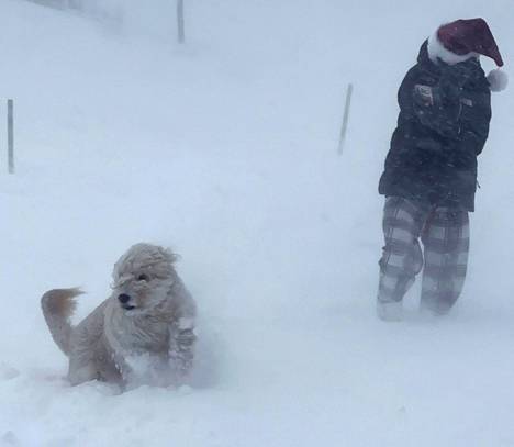 Sinnikäs koiranulkoiluttaja Buffalossa jouluaattona. Alueelle satoi lunta noin 71 senttiä.
