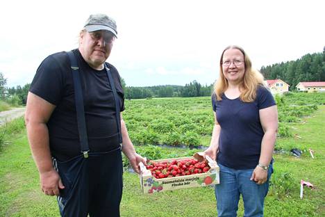 Makeaa mahan täydeltä. Vesa Sammallahti ja Johanna Sammallahti-Knoll pääsivät avaamaan mansikkasesonkinsa omalla tilallaan viime keskiviikkona. 