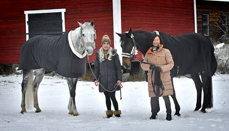 Heidi Takala ryhtyi kesäkuussa kilpailemaan Sinikka Kelhän omistamilla hevosilla Donilla (vas.) ja Twixillä. Hyvin sujuneen lyhyen kauden jälkeen on lupa odottaa menestystä alkavaan kisakauteen, jossa tähtäin on vaativissa luokissa ja kansallisissa kisoissa. 
