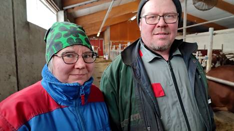 Sirpa Martikainen ja Juha Salkinoja rakennuttivat nykyisen parsinavetan vuonna 2011. Tällä hetkellä siellä on 63 lypsylehmää, 36 hiehoa ja 10 lehmävasikkaa.