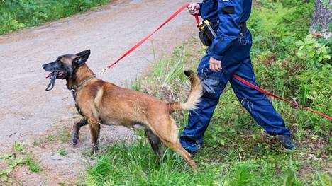 Kun syytetty otti hatkat kesken oikeudenkäynnin, apuun kutsuttiin poliisikoira. Tämän kuvituskuvan Risto-koira ei liity tapaukseen. 
