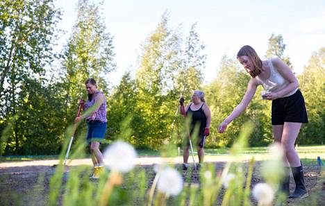 Luodon siirtolapuutarhayhdistyksen talkoolaiset istuttivat viime vuoden kesäkuussa muun muassa auringonkukkia ja härkäpapuja. Arkistokuvassa Minna Renholm (vasemmalla), Minna Laaksila ja Mariette Toropainen ovat työn touhussa.
