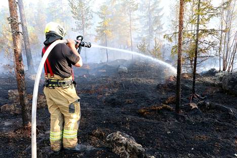Tekstarin lähettäjä on huolissaan kasvavasta metsäpaloriskistä. Arkistokuva on otettu Rauman Uotilasta vuonna 2018.