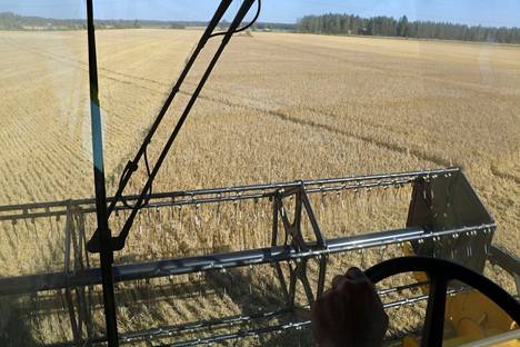 Maailman ruokamarkkinoiden myllerrys vaikuttaa suoraan suomalaiseen viljanviljelyyn. Kevätkylvö