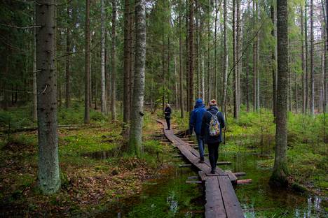 Kirjoittajan mukaan Suomen pinta-alasta noin 75 prosenttia on metsää, joten sitä riittää sekä talouskäyttöön että hiilinieluksi. 