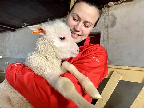 ”Meillä on erittäin kesyjä lampaita. Moni tulee ihan syliin asti”, sanoo Nina Sundelin. 