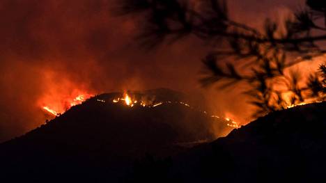 Poikkeuksellisen raivokas metsäpalo riehuu Kyproksella, ja sen tieltä on jouduttu evakuoimaan kyliä.