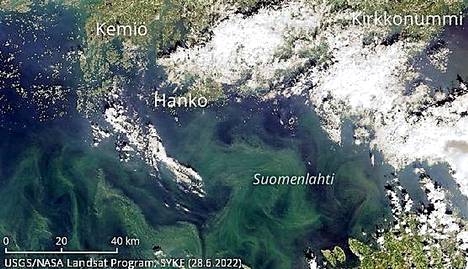 Sinileviä on seurattu satelliittikuvista 30 vuotta. Sinilevää havaittiin Suomenlahdella tiistaina.