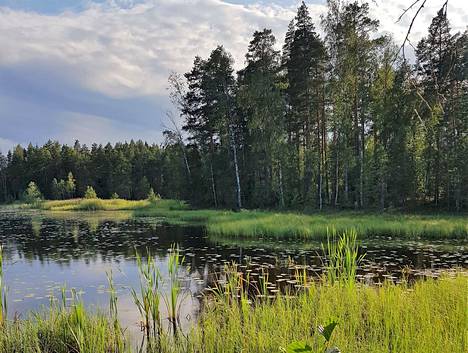 Lievijärvi sijaitsee Kauvatsalla, ja myytävä tontti kuuluu entiseen Kauvatsan pappilaan eli Ylhäisen tilaan kuuluviin maihin. Kuvituskuva Lievijärveltä.