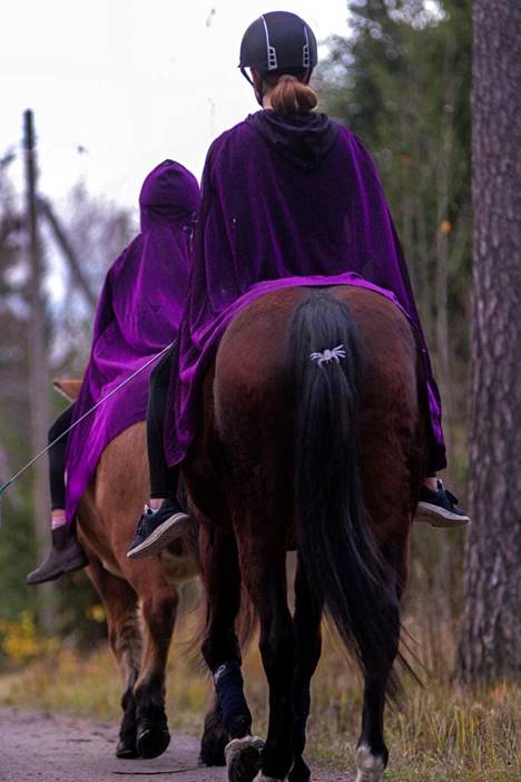 Taru Anttila lähetti kuvan halloween-ratsukoista ja kertoi, että Lattomerellä halloweenia vietettiin heppatallillakin. 