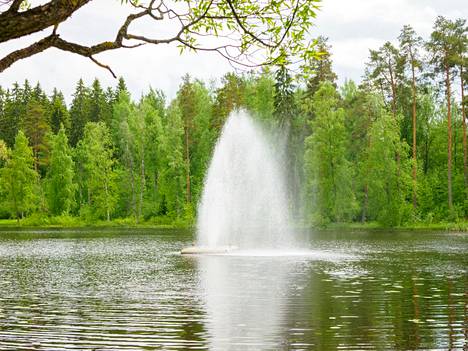 Pukinlammen suihkulähde on toiminut kesän merkkinä vuodesta 1988. Se uudistettiin vuonna 2013. 