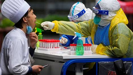 Hoitaja kerää koronavirusnäytettä kokilta Shanghaissa Kiinassa 13. toukokuuta 2022.