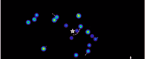 Tähti S2 kiertää keltaisella piirretyllä radalla Linnunradan keskustan mustaa aukkoa (merkitty tähdellä). Rata on hyvin soikea. Keskustan ympärillä on muitakin tähtiä. 