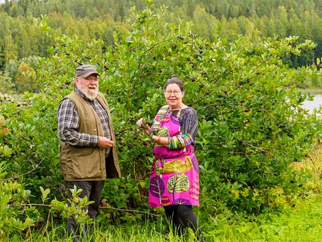 Juha ja Seija Halme viljelevät Henkireiän luomutilalla mustaherukkaa, herukkaa ja mustamarja-aroniaa.Lisäksi tilan tuotannossa on hunajaa ja kennohunajaa. 