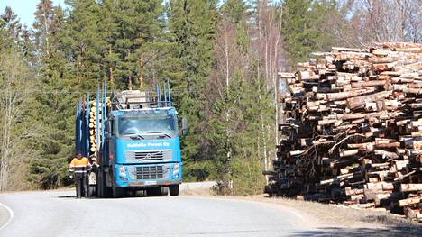 Kovinta kasvua vuoden 2021 loppupuolella kirjattiin metsäteollisuudessa.Trolssin ja Riispyyn puuta on kaadettu pohjoisen Rantatien varrella.