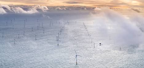 Avomerituulivoiman kannattavuuden on ennustettu paranevan hyppäyksenomaisesti, kun markkinoille tulee vähintään 15 megawatin turbiineja. Sellaisiin perustuvat myös suunnitelmat Selkämerellä. Borsselen merituulipuistossa Hollannissa (kuva) turbiinien teho on 9,5 megawattia.