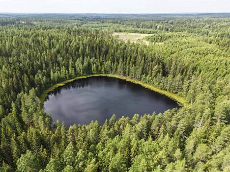 Tiesitkö, että Tampereella on 147 järveä? – Kävimme niistä kolmella  pienimmällä - Hyvä elämä - Aamulehti