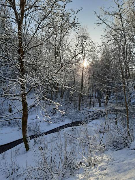 Aamu oli kuitenkin upea ja aurinkoinen pyryn jälkeen. Taina Hokkanen otti kuvan Puropuistossa 10. helmikuuta.