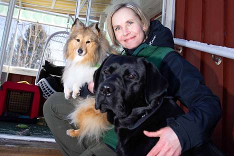 Lastensuojelun perheohjaaja Marjo Ventelä on kouluttanut työparikseen kuusivuotiaan shetlanninlammaskoiransa Kertun. Puolitoistavuotiaan Brunon koulutus samaan tehtävään on jo alkanut.