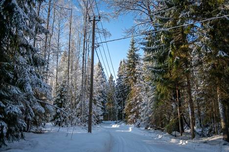 Sähköverkkoyhtiö Elenia toimii Suomessa laajalla alueella, ja suuri osa sen sähköverkosta kulkee vielä ilmajohtoja pitkin, vaikka viimeisen kymmenen vuoden aikana yhtiö on maakaapeloinut noin 30 000 kilometriä sähköverkkoa.