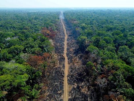 Amazonin sademetsää katosi vuoden ensimmäisellä neljänneksellä yli 840 neliökilometriä eli toiseksi eniten lukemasta tilastohistoriassa. Kuva on otettu syyskuussa 2022.
