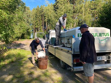 Kalastusmestari Lauri Rantanen kauhoo kuhanpoikasia eläinkuljetusauton tankista. Seppo Virtanen kaataa poikaset saaviin ja Pekka Aavikko seuraa sivusta.