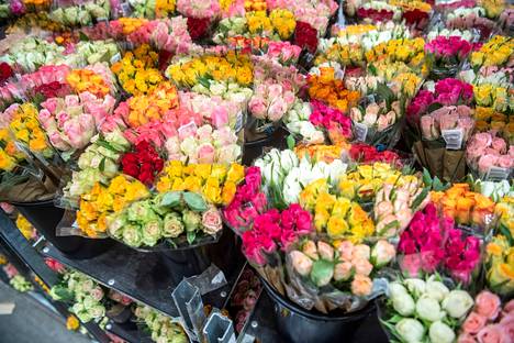 Suomalaiset ostavat kukkia vuodessa 500 miljoonalla eurolla. Keväisin eniten myydään ruusuja. 