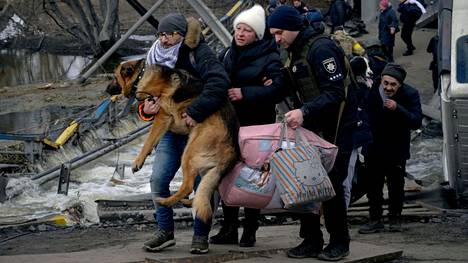 Ukrainan Irpinin kaupungista pakeneva mies kantoi mukanaan koiraa 9. maaliskuuta. Pääkaupunki Kiovan luoteispuolella sijaitse Irpin on kärsinyt pahoin Venäjän pommituksissa. 