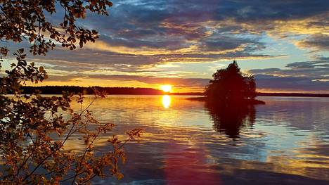 Suomen luonnon päivää on vietetty elokuun viimeisenä lauantaina vuodesta 2013 lähtien. 