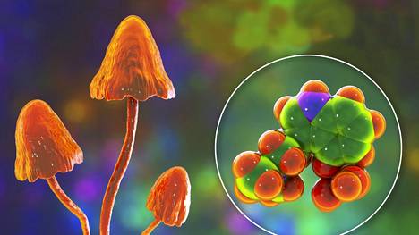 Psilosybiini on psykedeeli, jota on joissakin sienissä. 