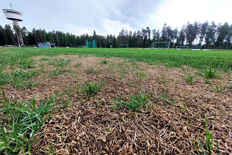 Urheilukentän jalkapallonurmelle on päässyt tämän viikon alusta lähtien. Talvi ja pitkä kevät toivat haasteensa nurmen kuntoon saamiselle.