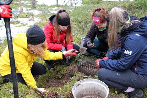 Milla Kuusisto (vasemmalla), Ellen Rantanen, Sini Kontiainen ja Anni Haapasilta pääsivät tutustumaan Myllyluoman maaperään arkeologisten kaivuiden parissa.