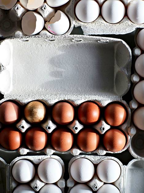 Kananmunien hinta oli pitkään alhaalla, mutta nyt 10 munan kennosta joutuu maksamaan lähes tuplahinnan.
