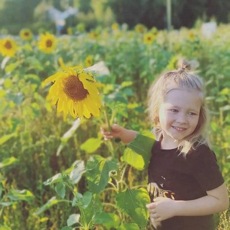Auringonkukka ja pikku tyttö kukkien keskellä. 