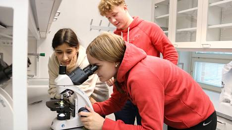 Perla Peltoniemi, Mette-Maria Myllykallio ja Lauri Lehtisaari tutkivat, miltä liekosammal näyttää uuden mikroskoopin avulla katsottuna.