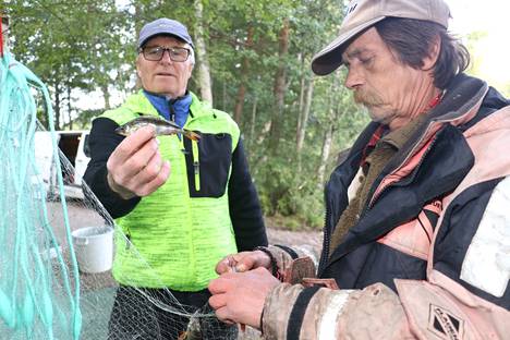 Markku Nieminen näyttää koekalastuksen yhtä saalista eli pientä ahventa. Hän ja talkoolainen Timo Rajala uskovat, että isompiakin vielä nousee Kaukajärvestä.
