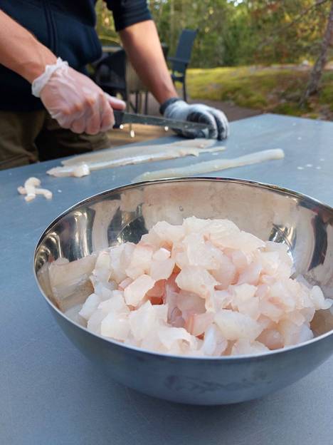 Syyslomalla voi olla aikaa myös kalankäsittelyn opetteluun. Suomen Vapaa-ajankalastajien tarjoamasta Kalastus maistuu! -videosarjasta löytyy fileointi- ja ruotojenpoistovinkkejä muun muassa ahvenelle ja hauelle.