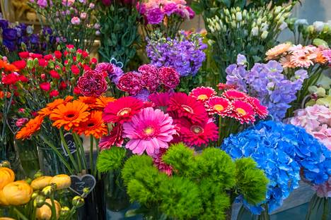 Irtokukissa riittää väriä kasvaneista hinnoista huolimatta. Kuvassa kukkaloistoa Katri Intosen kukkapuodilla Kauppahallissa. 
