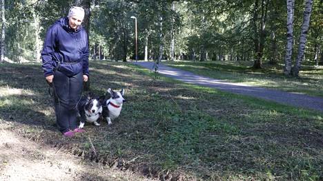 Raholan Piikahaassa usein ulkoileva Marika Juhola ja koiransa Pentti (vas.) ja Antti totesivat puiston olevan kuin taistelutanner. Raskaan traktorin jäljet ovat uponneet maahan.