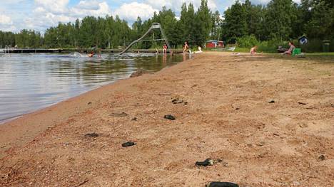 Jätökset Venesjärven uimarannalla ovat järvellä majailevien kanadanhanhien jättämiä. 