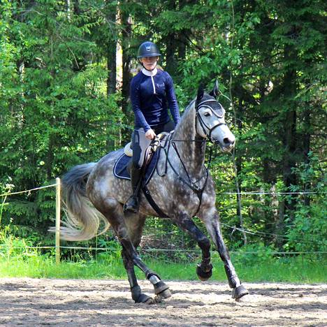 Emma-Maria Mikkolalle hevosharrastuksen ja koulun yhdistäminen on sujunut hyvin. Syksyllä Mikkola aloittaa opinnot Mäntän lukiossa.