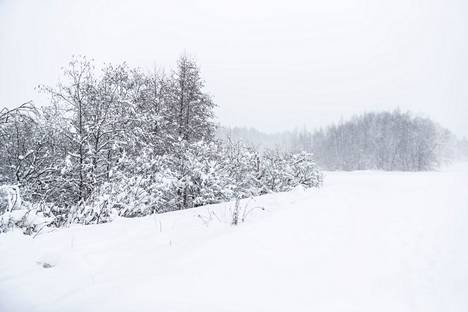 Tampereella satoi tiistaina Suomen toiseksi eniten lunta.