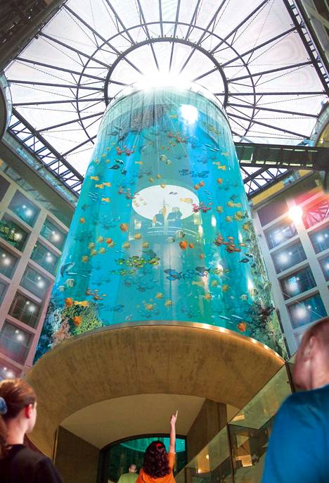 Berliinin AquaDom-akvaariossa oli 1 500 kalaa.