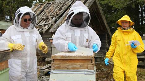 Juupajoella sijaitseva Henkireiän luomumehiläistila on yksi kymmenestä suomalaistilasta, jotka ovat mukana EU-maiden mehiläistutkimuksessa. Seija Halmeen (vasemmalla) apuna mehiläisiä hoitavat Kiia ja Inka Koivunen.