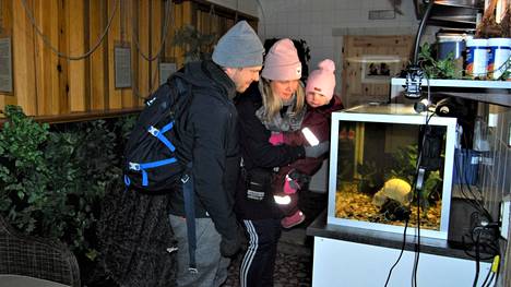 Akvaarion "punalakkinen" kala kiinnosti Elena Ristimäkeä, Samuli Rimpelää ja heidän tytärtä Oliviaa.
