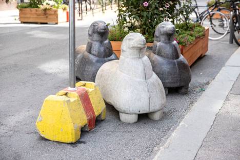 Kuninkaankadulle tuodaan jo aiemmilta kesiltä tuttuja betonisia lampaita. Ne on suunnitellut kuvanveistäjä Merja Haapala. Kuvassa Mää-lampaita Aleksis Kiven kadulla kesällä 2021. 