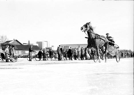 Eero Ellilän valokuva 1950-luvulta kuvaa Krookan jäällä pidettyä ravikilpailua. Ravit keräsivät paljon yleisöä kisoja ja erityisesti uljailta ravihevosia ihailemaan. Kuvassa rannan äärellä oli Arvo Lehtosen ensimmäinen tehdas.