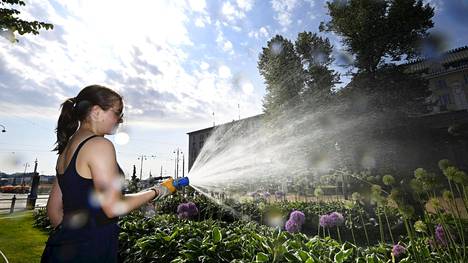 Viime vuoden kesäkuu oli Ilmatieteen laitoksen mukaan ennätyksellisen kuuma. Näin kasveja kasteltiin Esplanadilla Helsingissä 21. kesäkuuta 2021. 