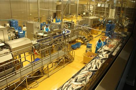 Kalaneuvos-brändin takana toimiva Nordic Fish -konserni laajentaa jälleen. Kuva Sastamalan tehtaalta.