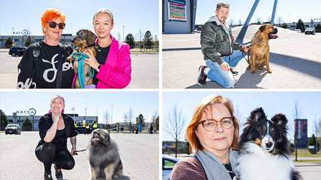 Aamulehti kysyi kahdeksalta Tampereella pidettyyn koiranäyttelyyn osallistuneelta, joko koira on Ruokaviraston rekisterissä. 